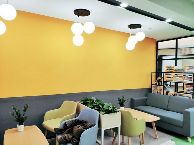 硅胶项圈如何选择